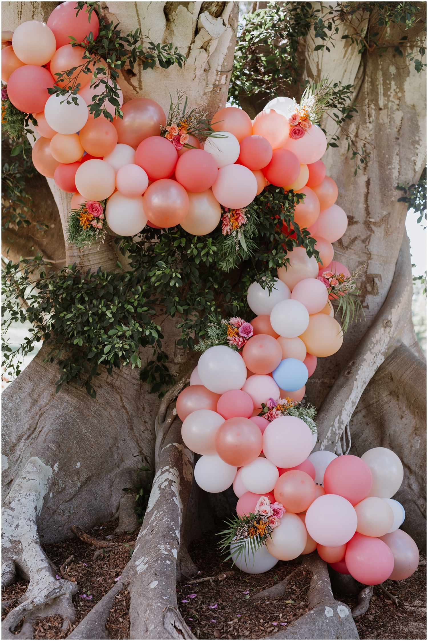 Dillingham Ranch Wedding, Tropical Hawaii Wedding Ceremony, Oahu Hawaii Wedding Ceremony, Hawaii Elopement