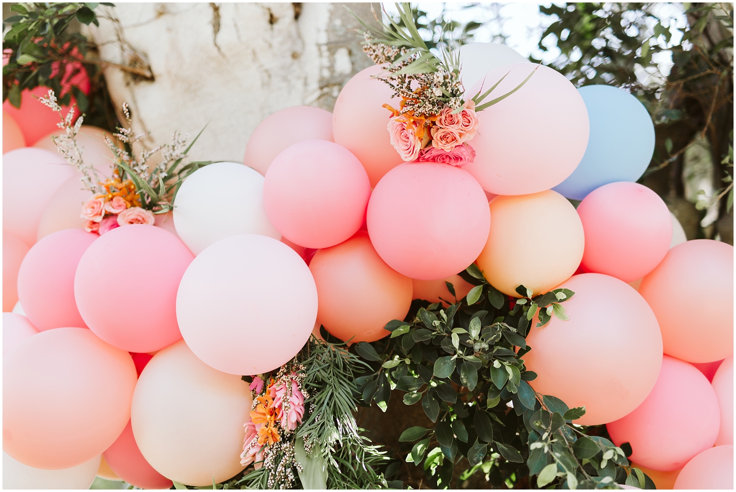 Dillingham Ranch Wedding, Tropical Hawaii Wedding Ceremony, Oahu Hawaii Wedding Ceremony, Hawaii Elopement