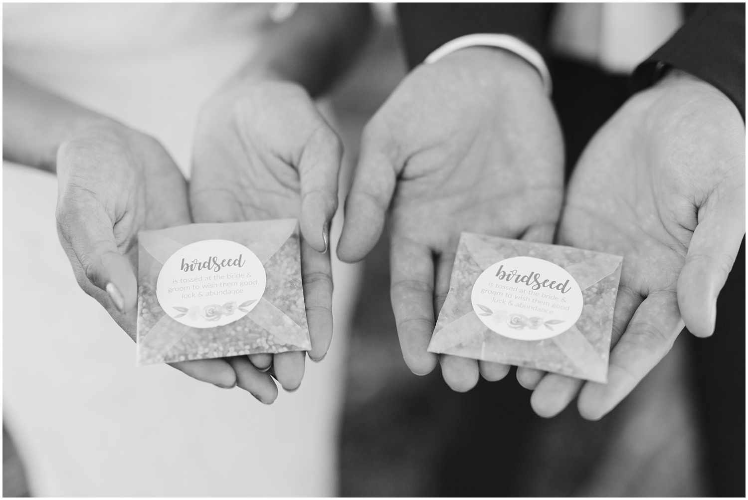 Dillingham Ranch Wedding, Tropical Hawaii Wedding Ceremony, Oahu Hawaii Wedding Ceremony, Hawaii Elopement