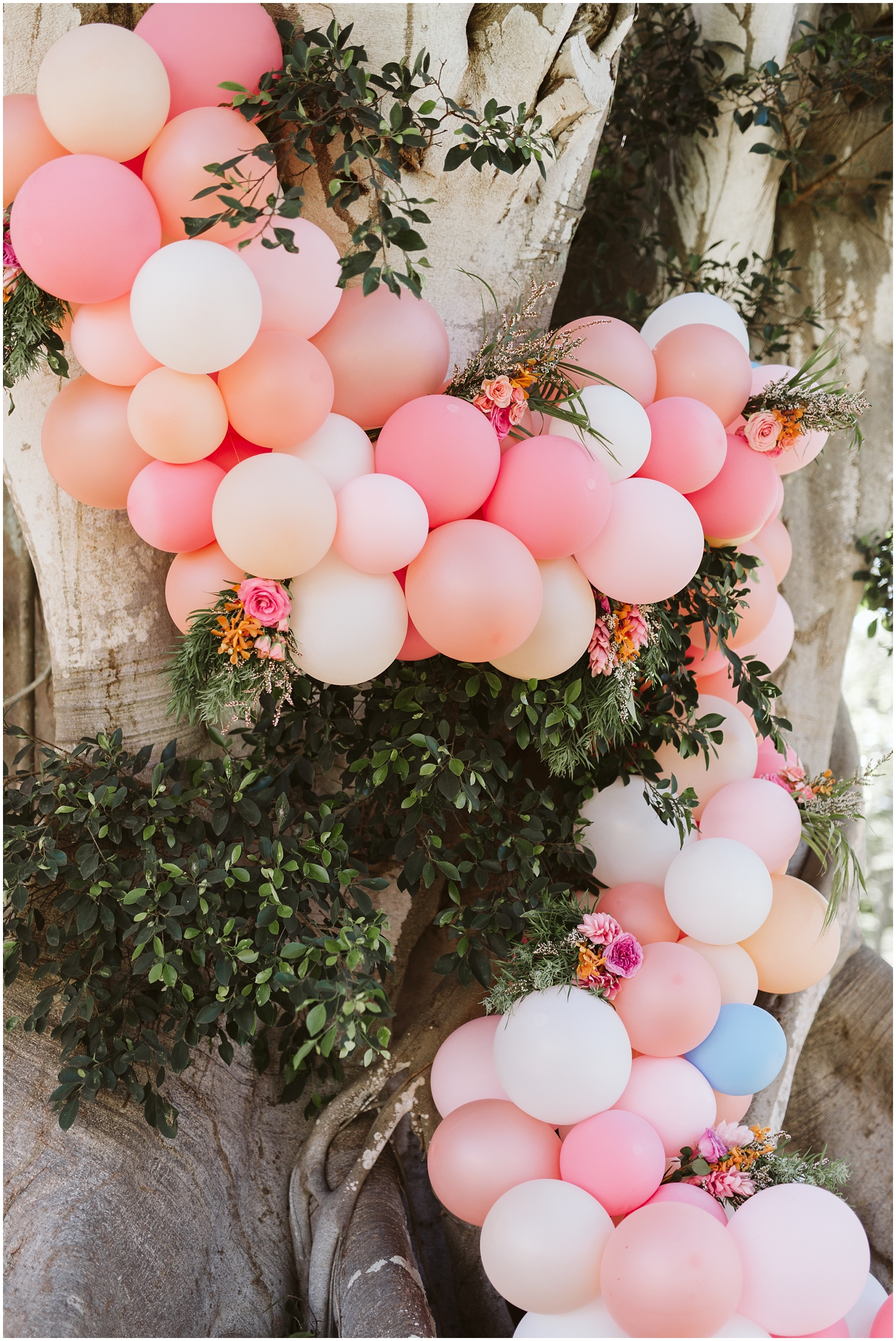 Dillingham Ranch Wedding, Tropical Hawaii Wedding Ceremony, Oahu Hawaii Wedding Ceremony, Hawaii Elopement