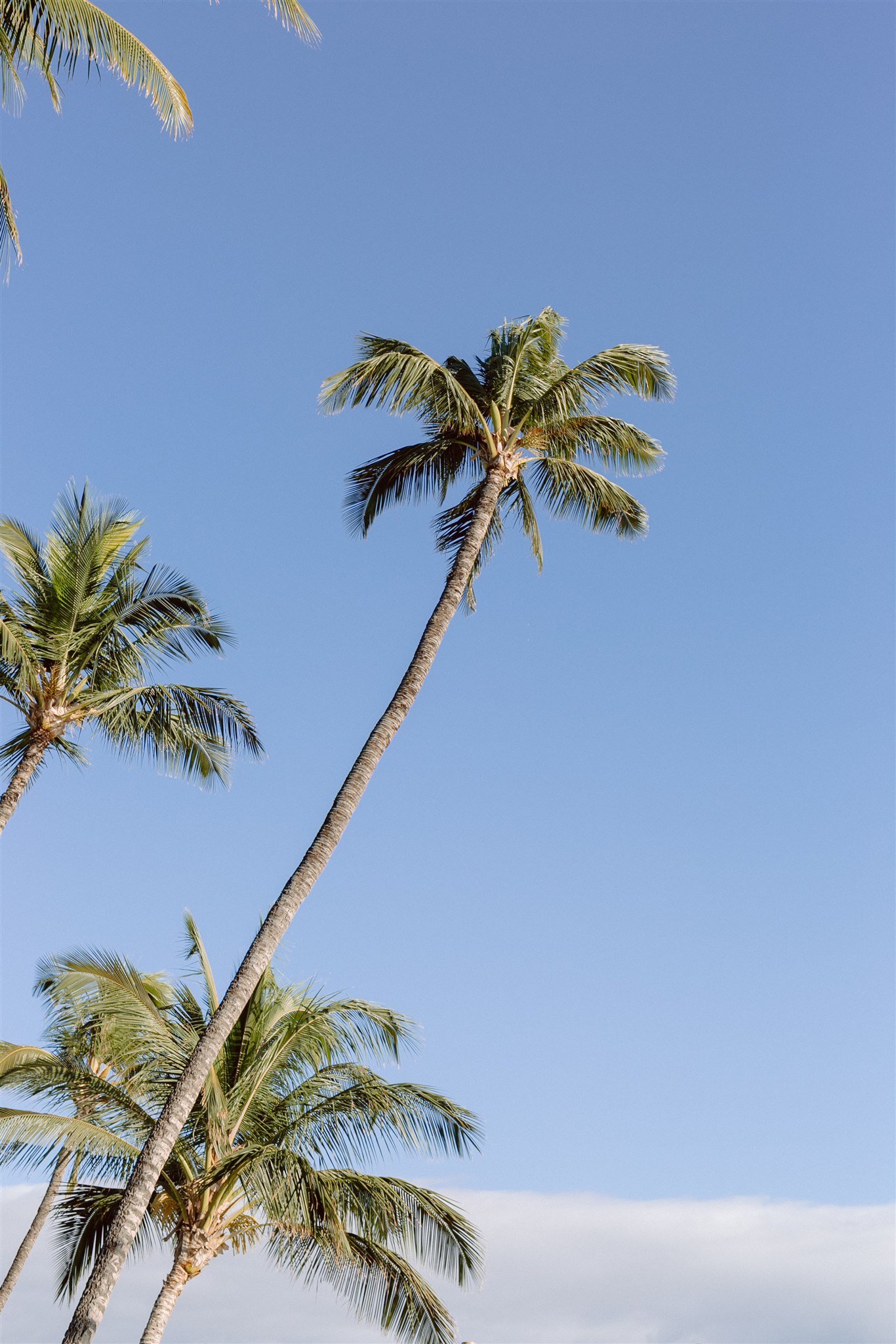 5-Palms-Restaurant-Maui-Hawaii-Wedding.jpg