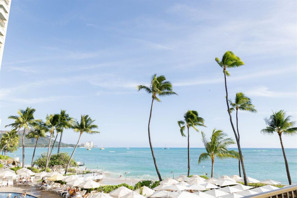 Small cabanas on an oceanside pool deck with tall palm trees 