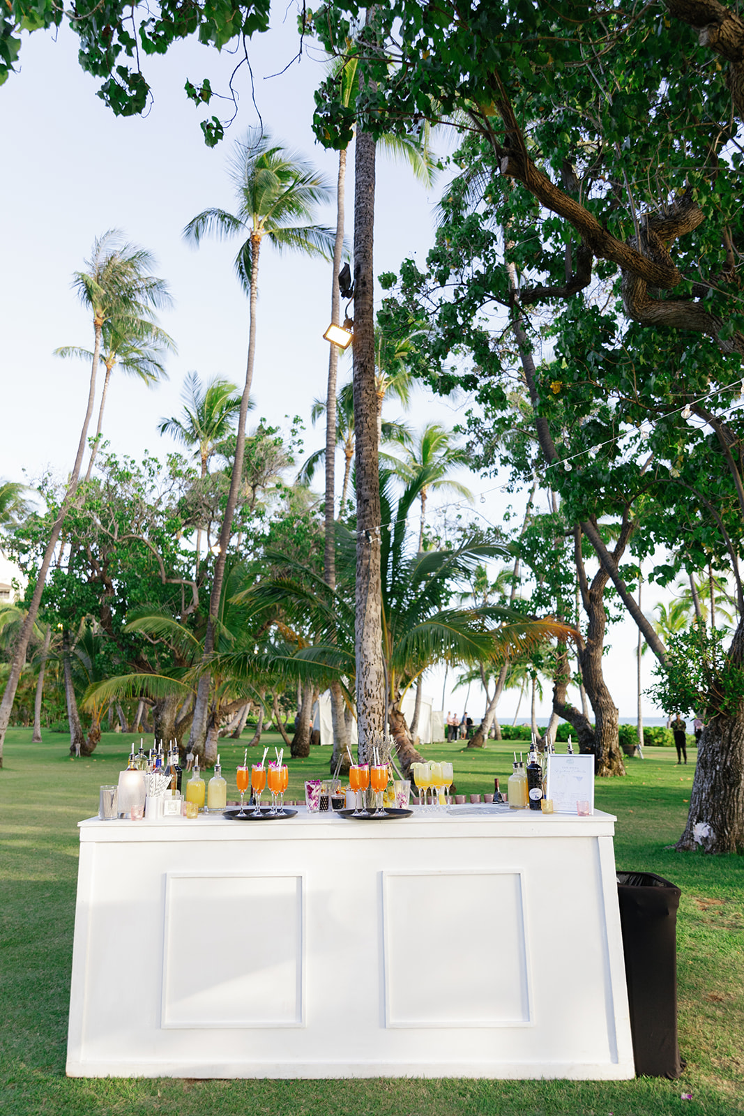 awhite table set up with beverages underneath the palm trees 