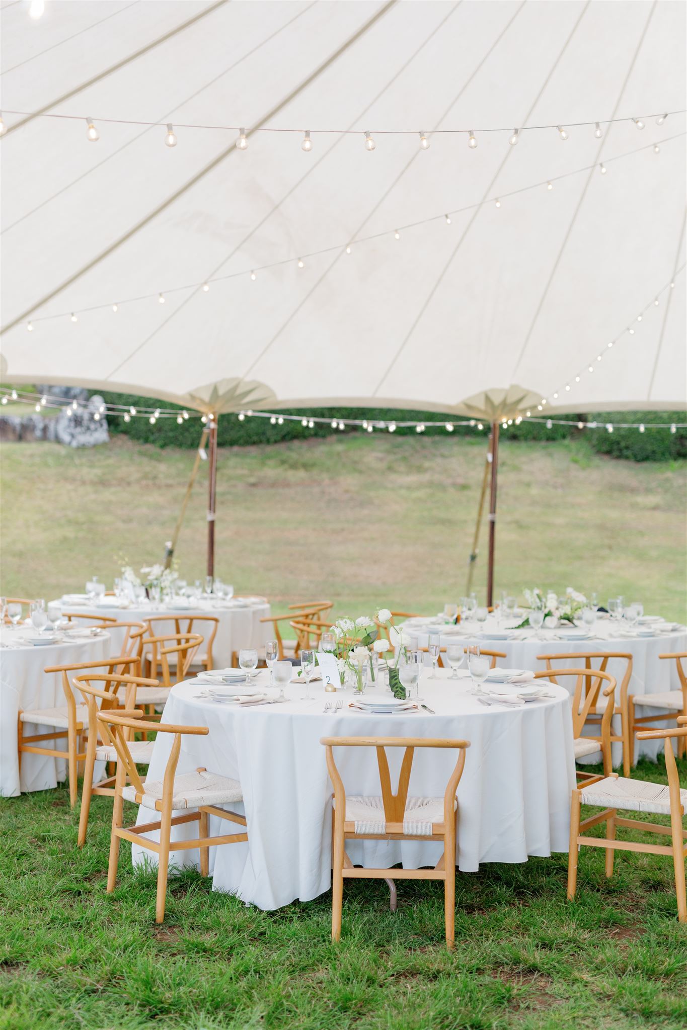 a white tent set up at Paliku Gardens at Kualoa Ranch for a wedding reception